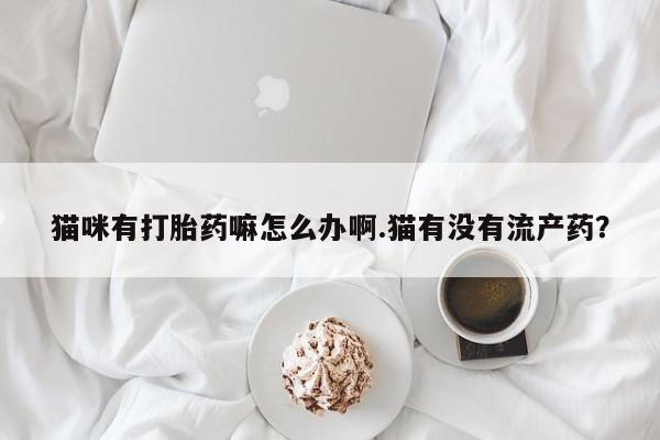 米非米索联系微信猫咪有打胎药嘛怎么办啊.猫有没有流产药？